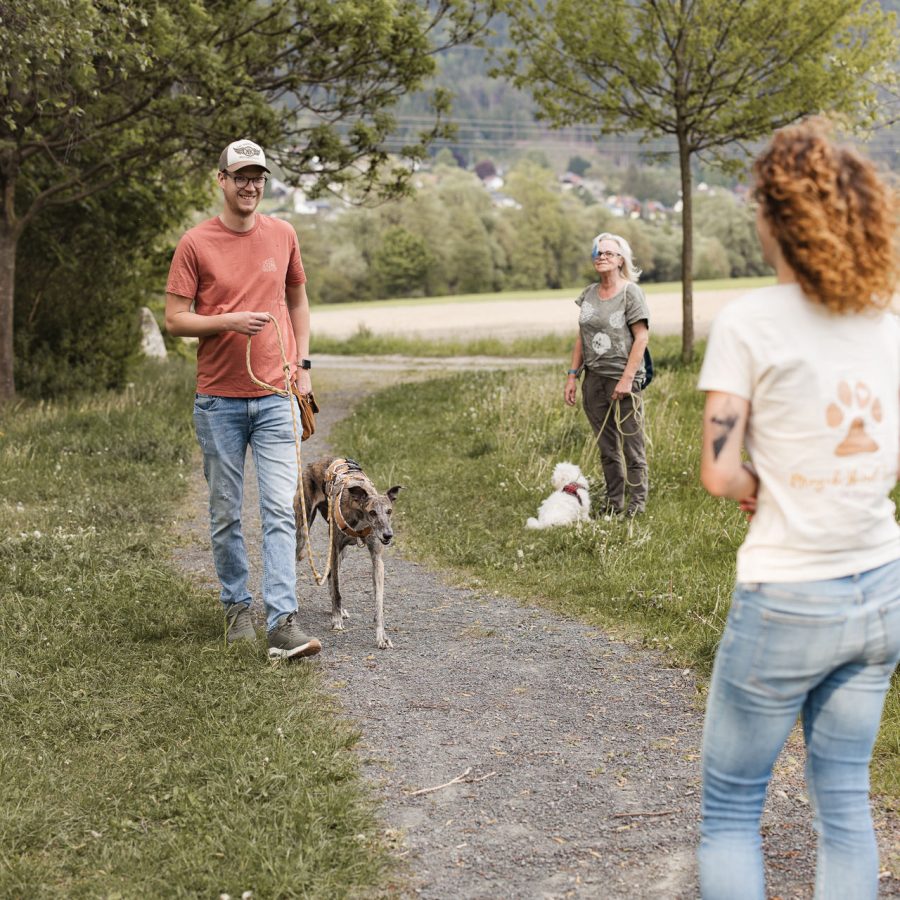 Team_Gruppe_Gruppentraining